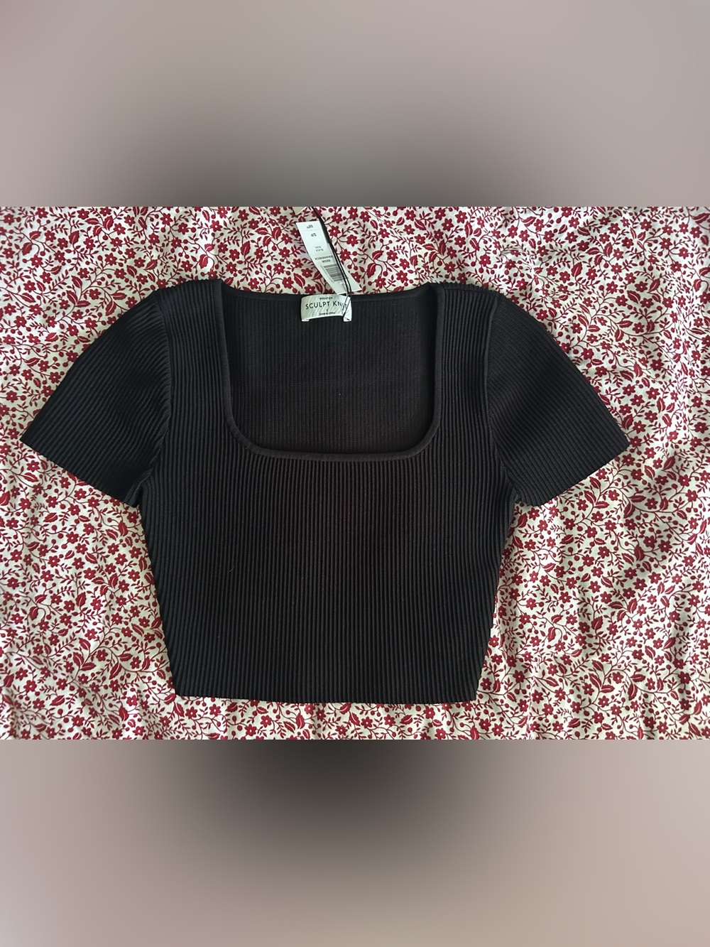 Aritzia Crop Top
